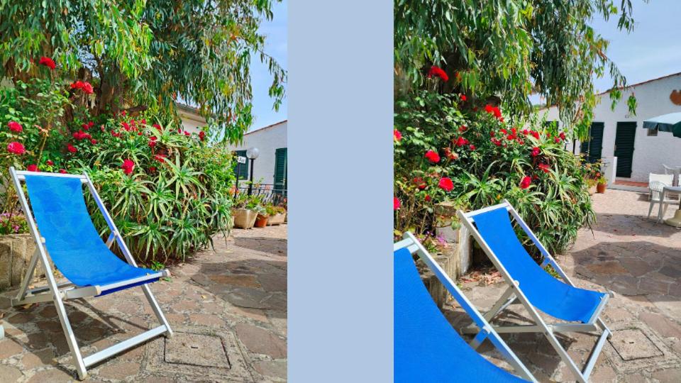 Zahrada ubytování Hotel Scoglio Bianco