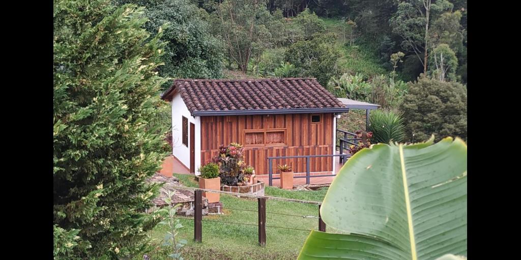 Zahrada ubytování San José de las bromelias