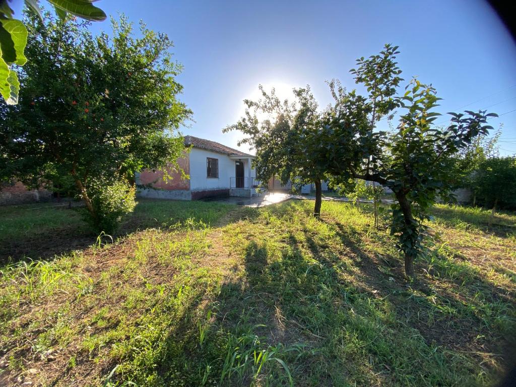 Κήπος έξω από το Village house
