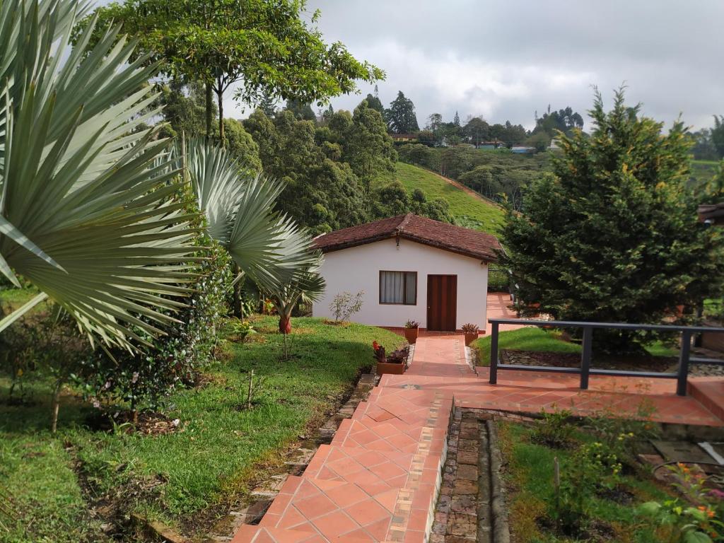 Zahrada ubytování San José de las bromelias