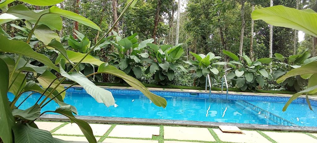 Bassein majutusasutuses Le Vista Resort või selle lähedal
