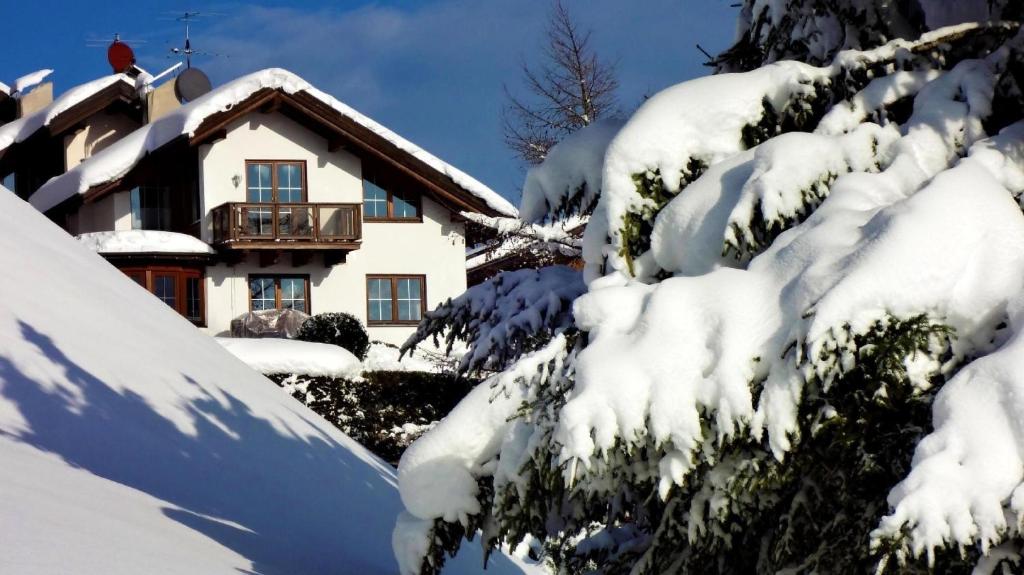 un albero innevato di fronte a una casa di Ferienhaus Achensee in Achenkirch ad Achenkirch