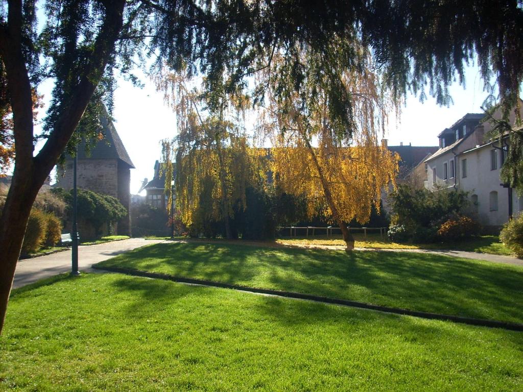 Zahrada ubytování Hotel Parkán