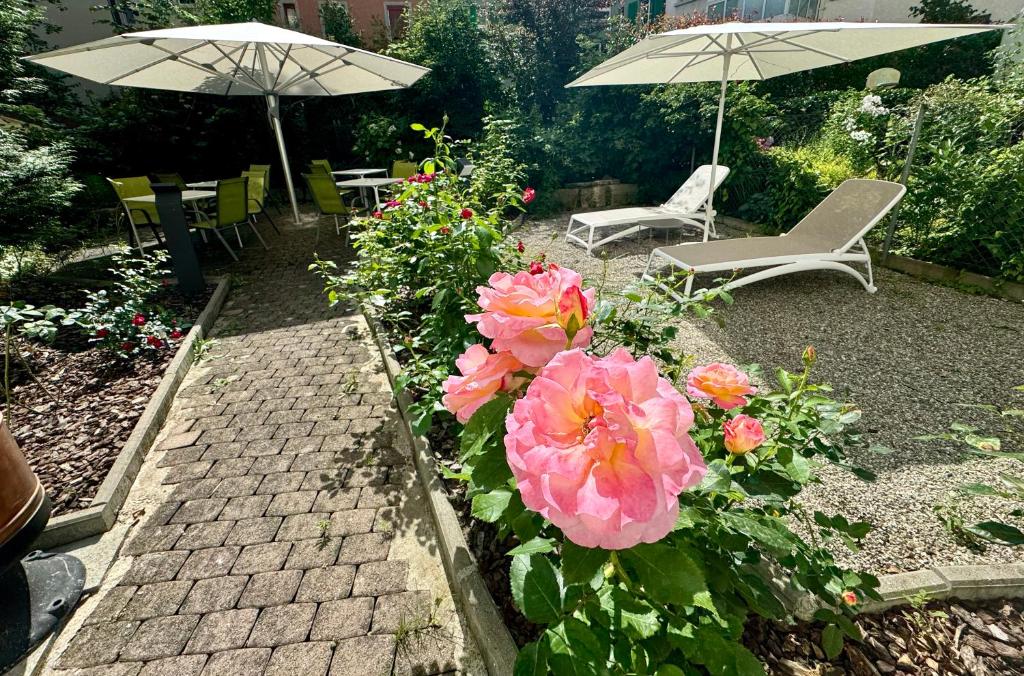 Residence Mutschellen - Resim 27