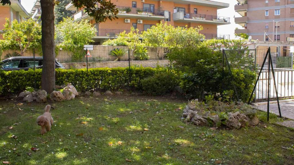 Oasi San Francesco - Resim 16