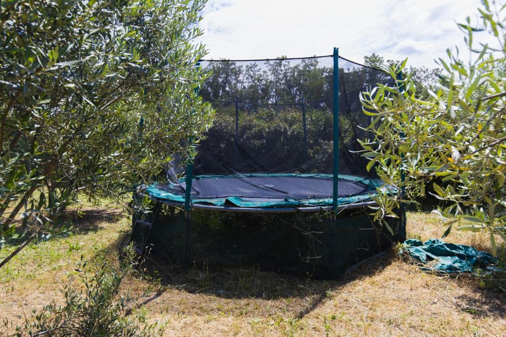 Bazén v ubytování Roulotte chez Manon en Luberon nebo v jeho okolí