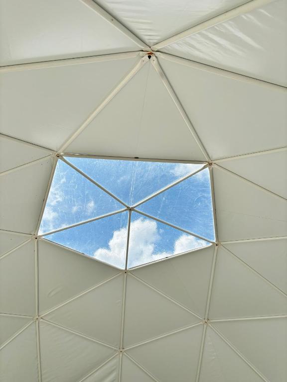 Fotografie z fotogalerie ubytování Bubble House glamping telk v destinaci Sõmeru