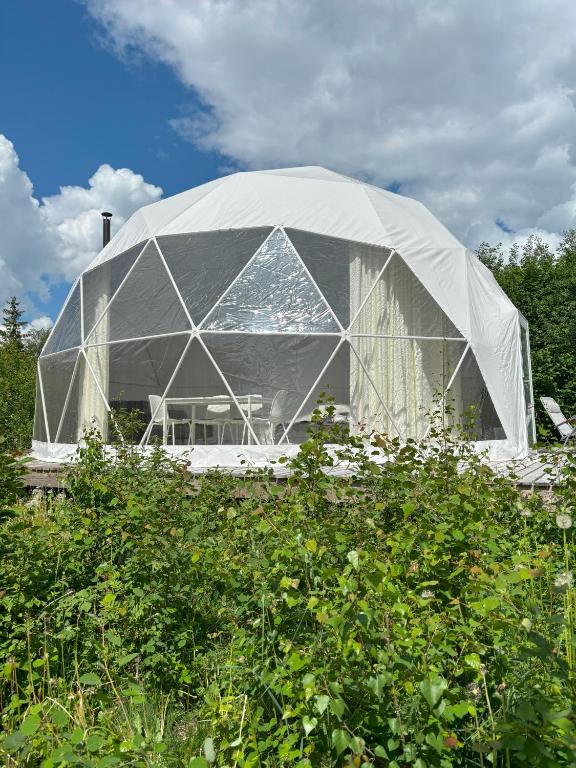 Zahrada ubytování Bubble House glamping telk