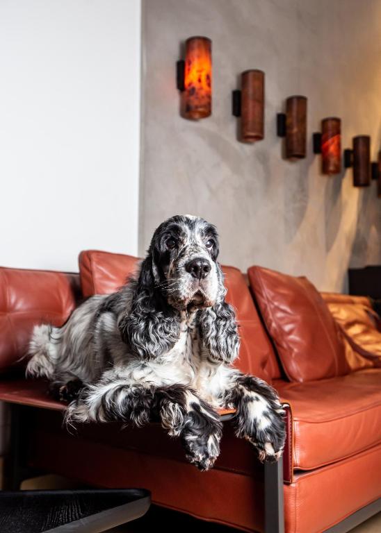 Milan Suite Hotel - Resim 36