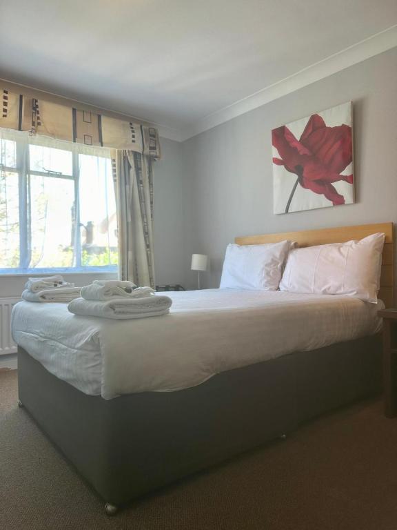 Hotel Coco - Standard Double Room