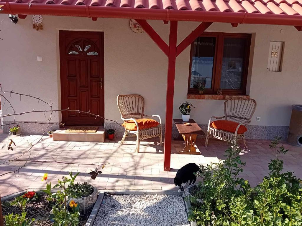 Domácí mazlíčci ubytovaní s hosty v ubytování Edi apartman