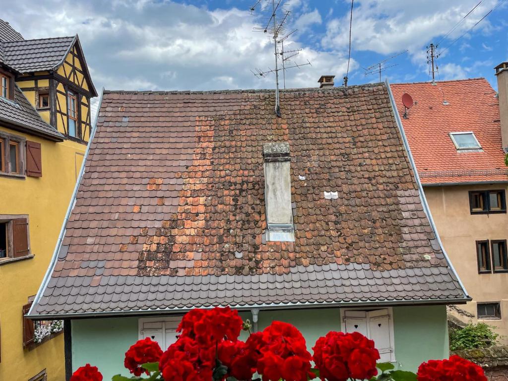 La Maison Bleue - Historic House in the Heart of Riquewihr – photo 16