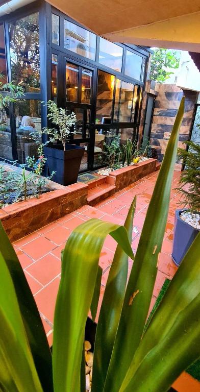 Κήπος έξω από το Garden résidence