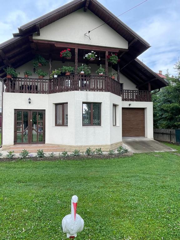 a swan standing in front of a house at Casa Iuliana Camelia in Câmpulung Moldovenesc