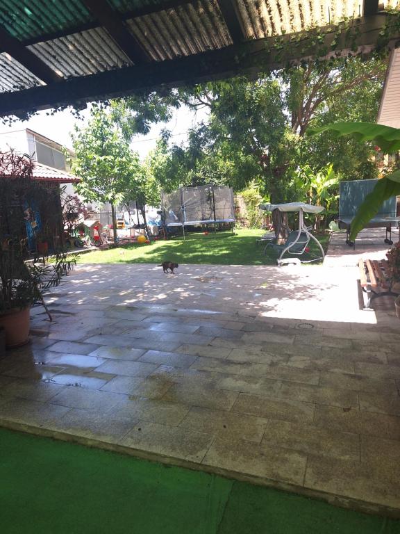 a cat walking in a courtyard with a patio at Casa inflorita garsoniere etaj in Eforie Nord
