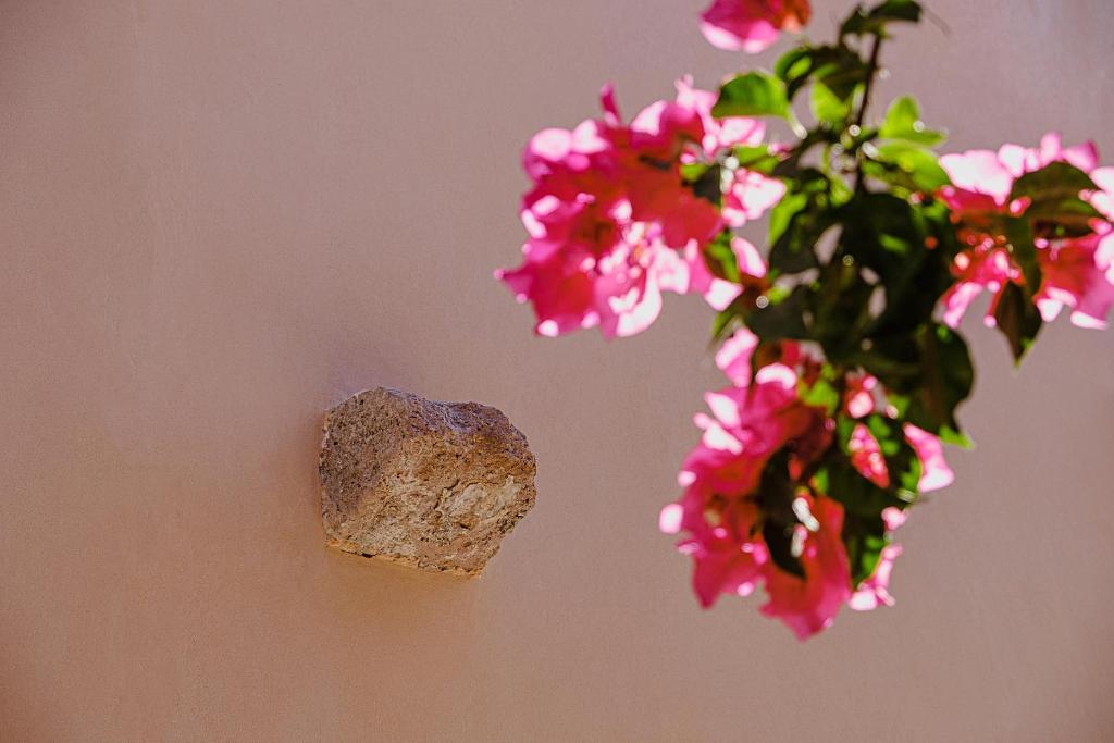 Fotografie z fotogalerie ubytování Veinticinco20h v destinaci Querétaro