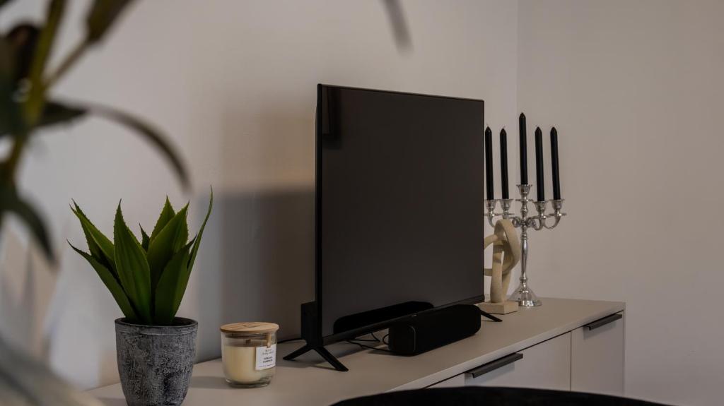 TV a/nebo společenská místnost v ubytování Flat Bull Appartement mit Garten
