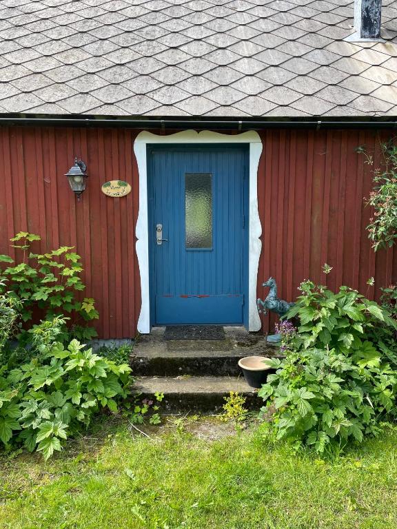 Zahrada ubytování Paradis