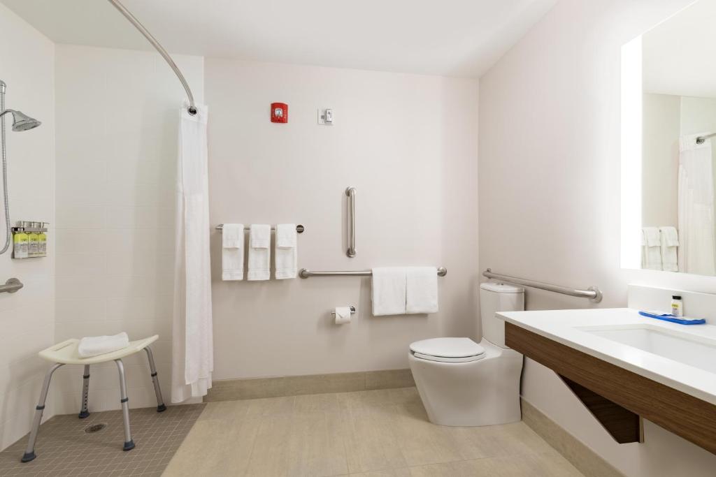 Holiday Inn Express Hotel & Suites Mount Pleasant - Charleston, an IHG Hotel - King Room - Mobility Access/Roll In Douche - Niet Roken