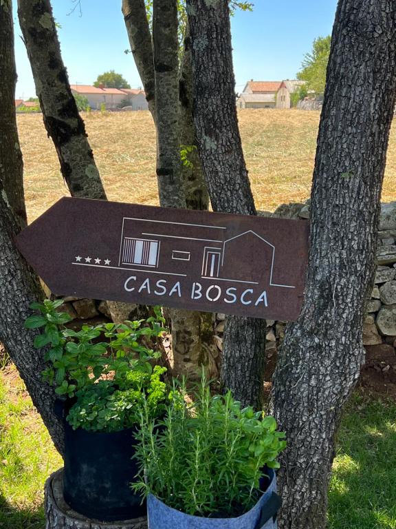 Ogród w obiekcie Casa Bosca with heated pool