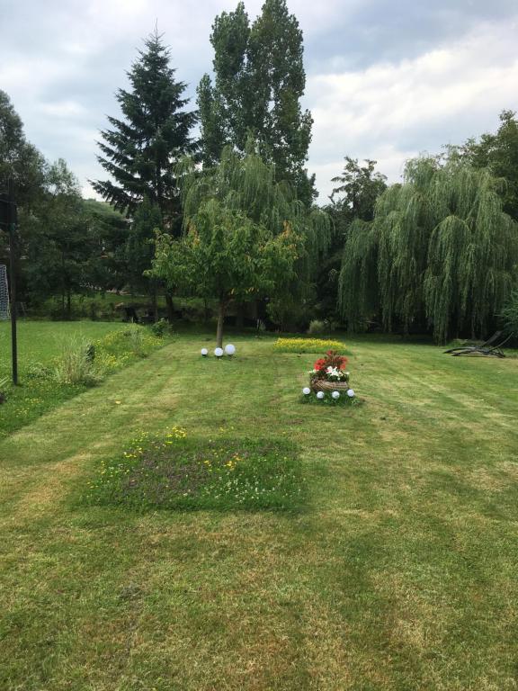 Zahrada ubytování Pensiunea Sovirag