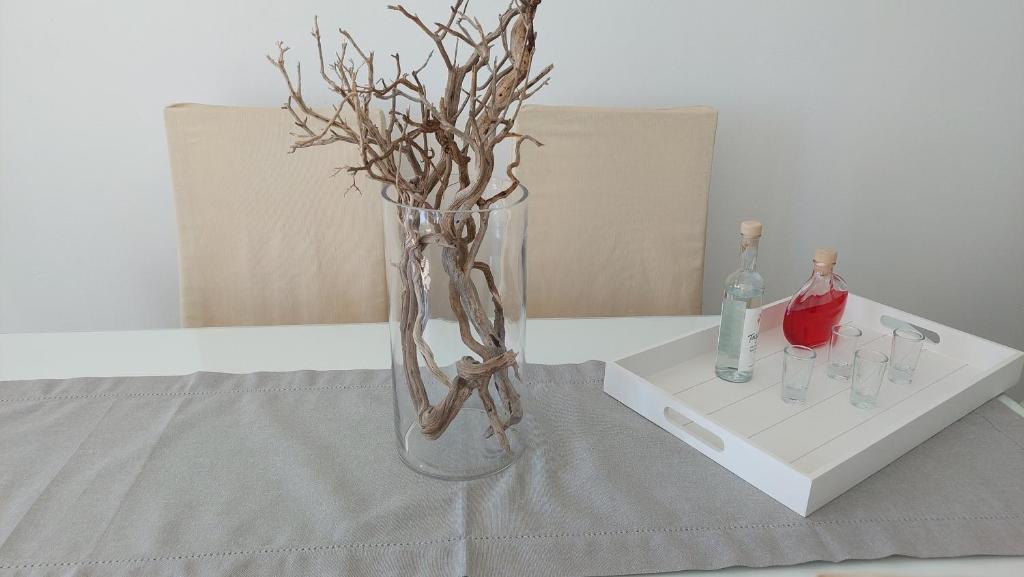 Foto sihtkohas Tinos Town asuva majutusasutuse Callisto Tinos galeriist