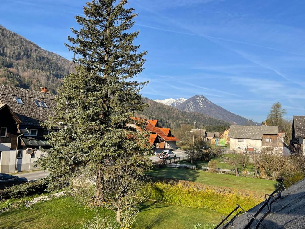 Příroda nedaleko apartmánu