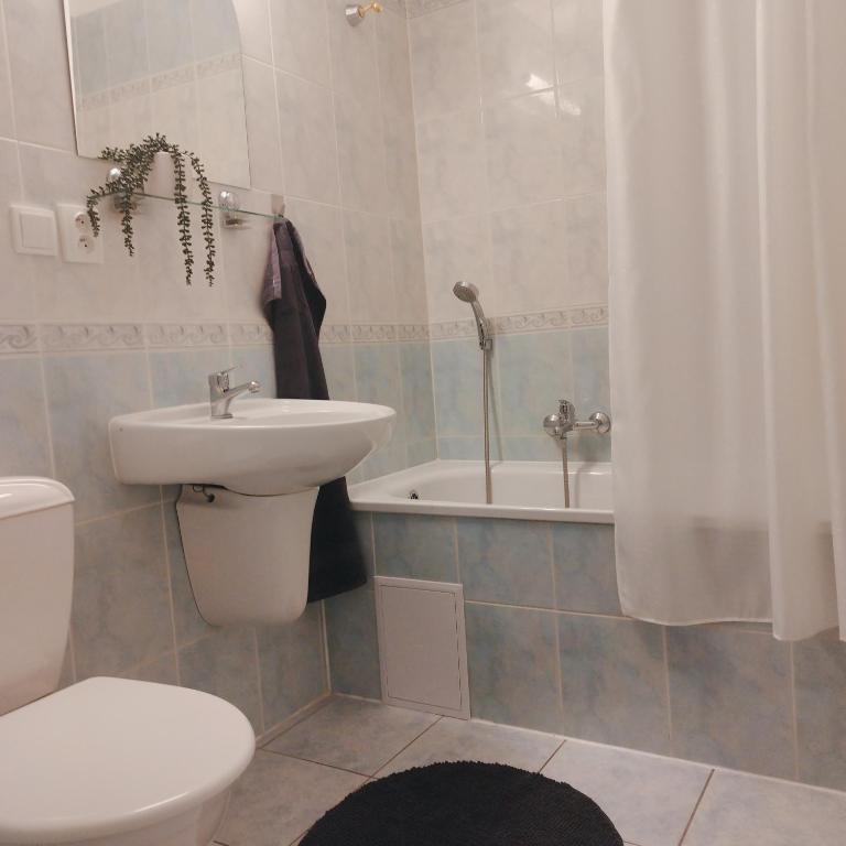 Koupelna v ubytování Morava 309 Uherské Hradiště Šafaříkova 855