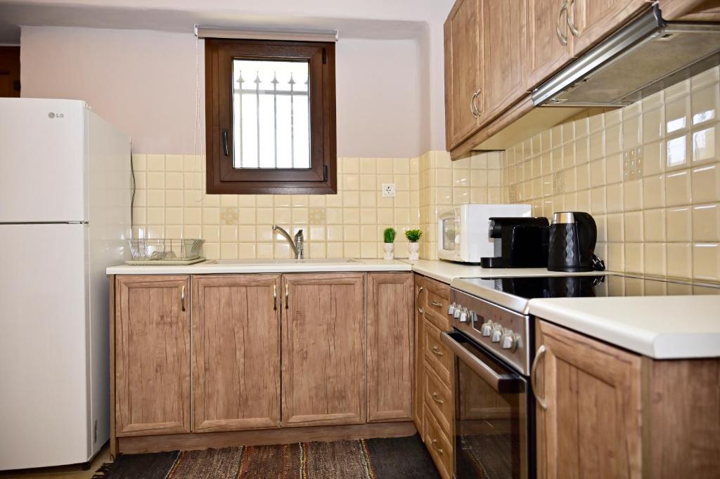 Kuchyň nebo kuchyňský kout v ubytování Anthousa's Maisonette