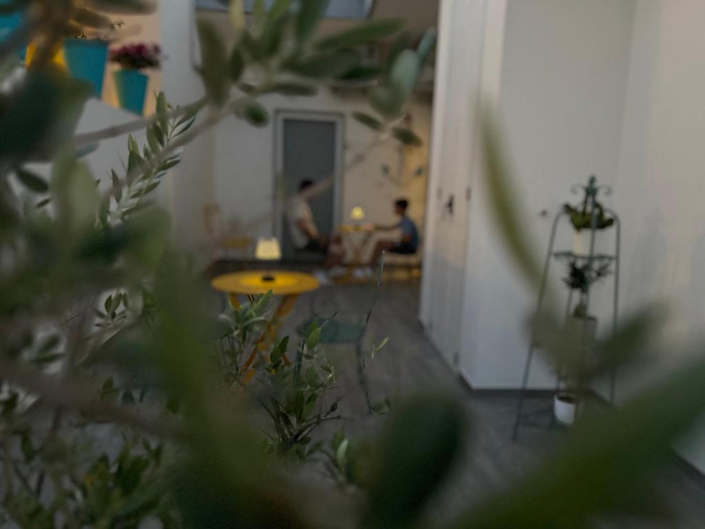 Zahrada ubytování B&B Civico 42