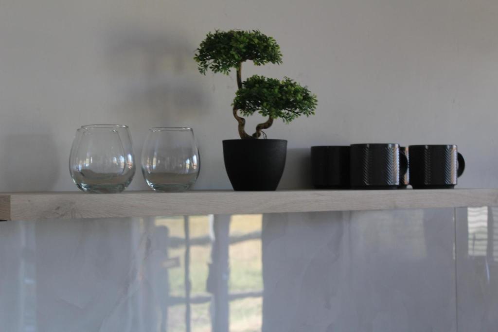 bird haven self catering - King Studio Con Sofá Cama