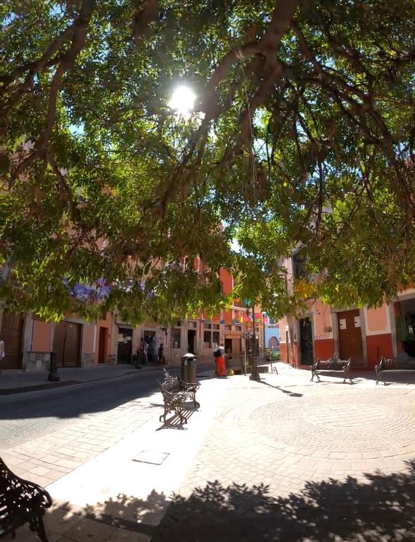 Fotografie z fotogalerie ubytování Alonso53 v destinaci Guanajuato