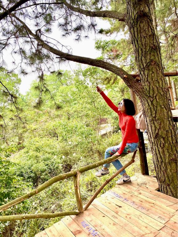 Hosté ubytování Pine Hill Villas & Camping