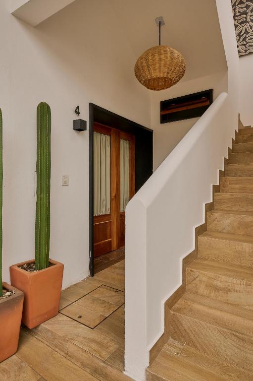 Fotografie z fotogalerie ubytování Stay Ortenxia v destinaci Oaxaca