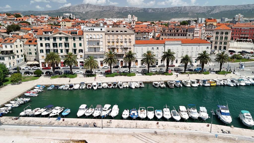 Apartman vintage bossanova