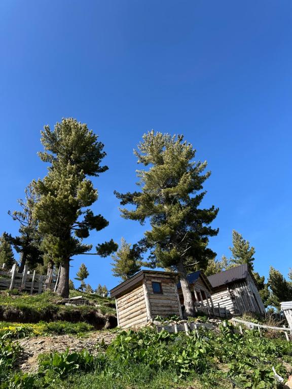 Fotografie z fotogalerie ubytování Guest House Kolata view v destinaci Tropojë