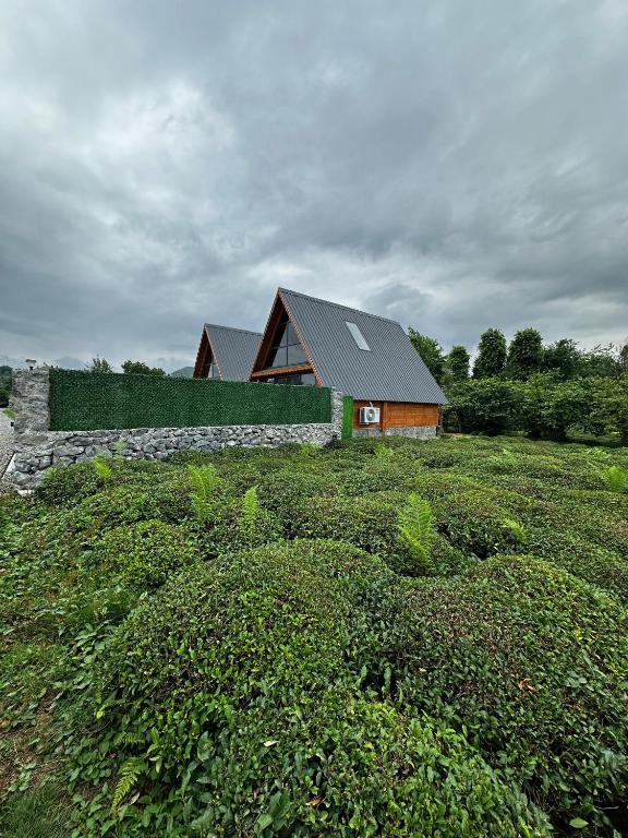 Zahrada ubytování Peleri Suit Bungalow