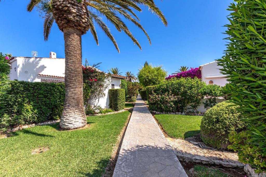 a palm tree in a garden with a sidewalk at Windrose in Son Xoriguer