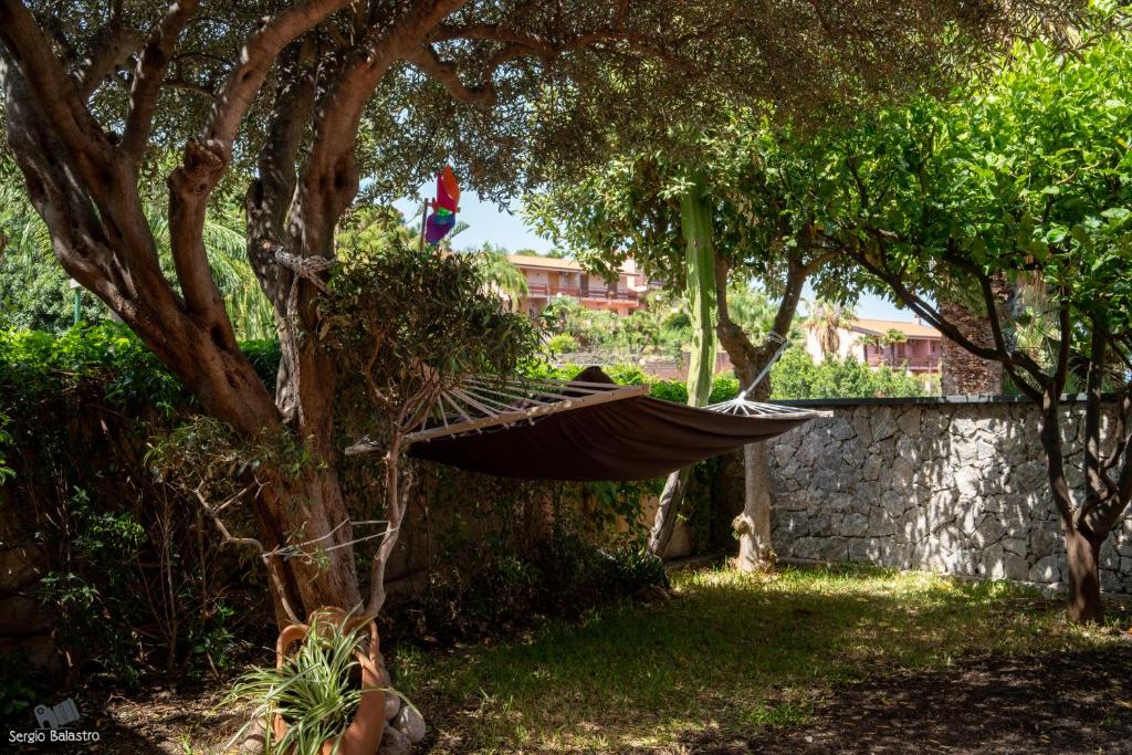 a hammock hanging from a tree in a yard at Villa Casablanca in SantʼAlessio Siculo