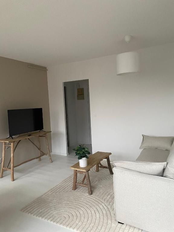 un salon avec un canapé et une télévision dans l'établissement Au cœur de la Ponétie, à Aurillac