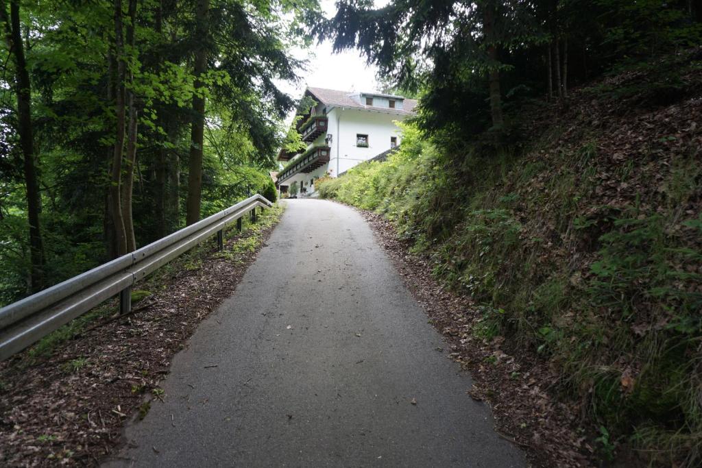 Příroda nedaleko apartmánu