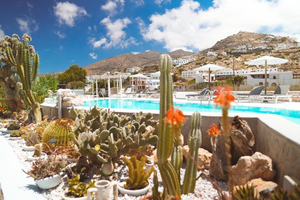 La alberca dentro o cerca de Corali Beach Hotel