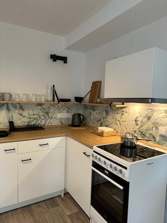 Kuchyň nebo kuchyňský kout v ubytování Apartmány u rybníčka