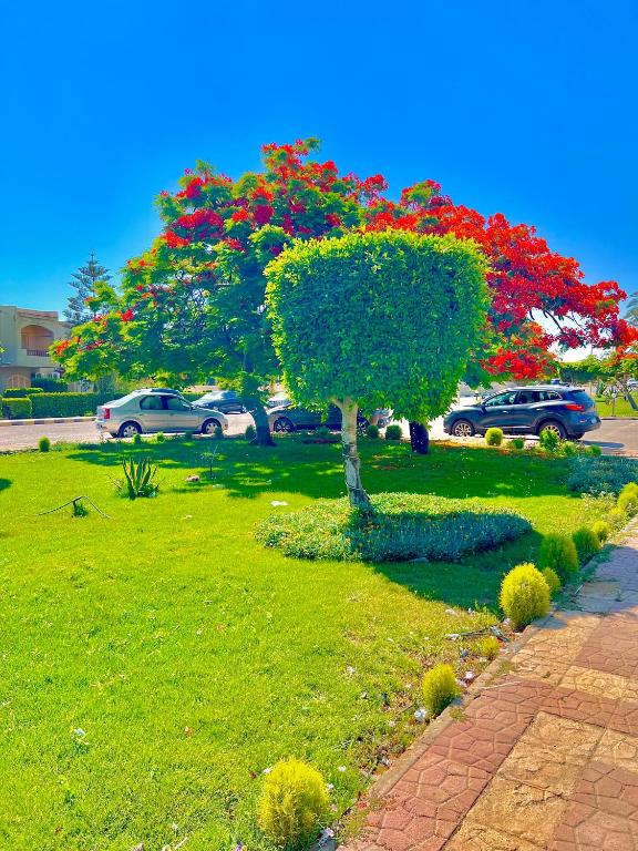 Zahrada ubytování 50% Off. 2BR , 2BR Ground floor with pool view, private beach access, security 24/7 شاليه ٢ غرفه ، ٢ حمام ف الدور الارضي قدام جنينه و حمام السباحه مباشره ، شاطيء خاص بالقرية و أمن ٢٤ ساعه و مسجد خاص