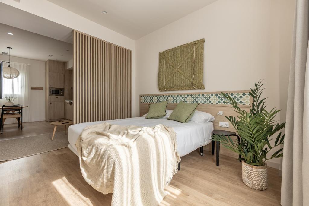 Líbere Córdoba Tendillas - 12