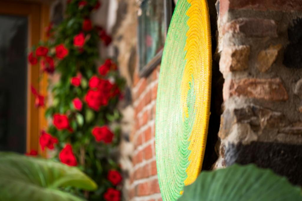 Fotografie z fotogalerie ubytování Domo Incantos v destinaci Galtellì