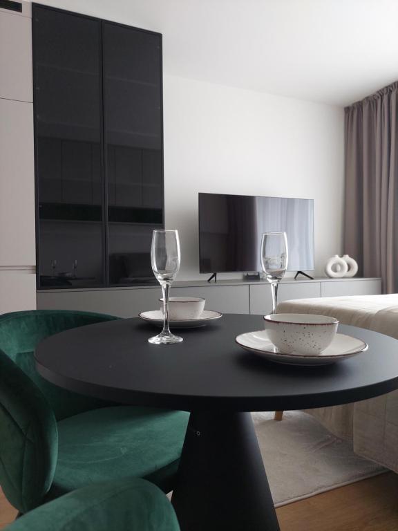 TV a/nebo společenská místnost v ubytování Apartman Zoku s private garage parking free