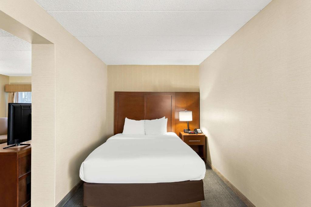 Comfort Inn - 