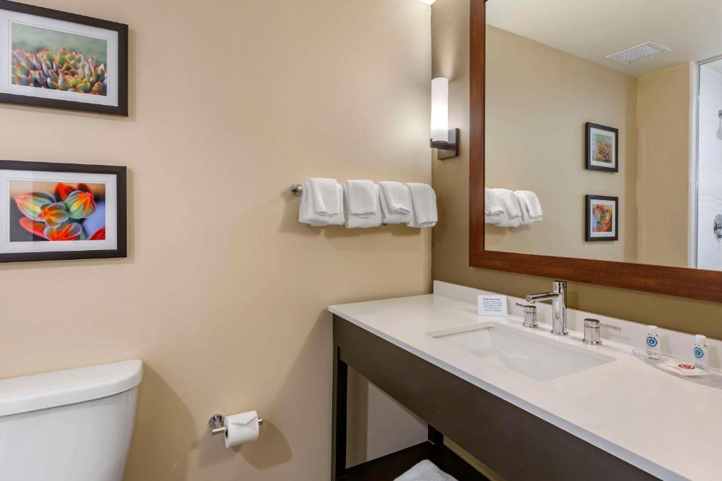 Comfort Suites Albuquerque Airport - 