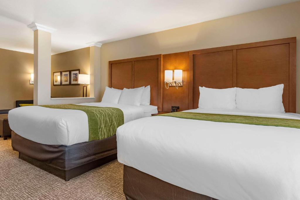 Comfort Suites Albuquerque Airport - 